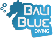 Welcome to Bali Blue Diving
